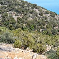 Земельный участок в Греции