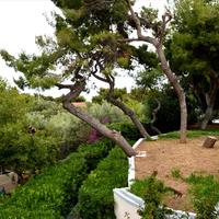 Villa in Greece, 395 sq.m.