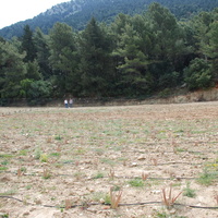 Земельный участок в Греции