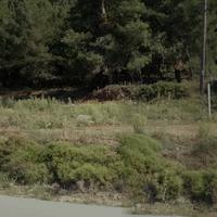 Земельный участок в Греции