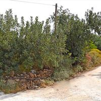 Land plot in Greece, 608 sq.m.