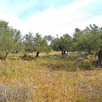 Земельный участок в Греции, 1673 кв.м.