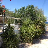 Other in Greece, 270 sq.m.