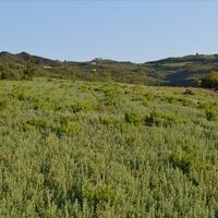 Земельный участок в Греции