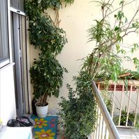 Flat in Greece, 77 sq.m.