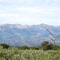 Land plot in Greece, 1000 sq.m.