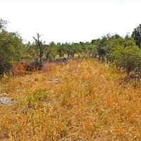 Land plot in Greece, 1000 sq.m.
