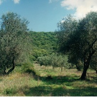 Земельный участок в Греции