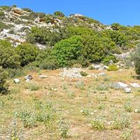 Земельный участок в Греции, 12000 кв.м.