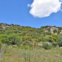 Земельный участок в Греции, 12000 кв.м.