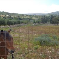 Villa in Greece, 380 sq.m.