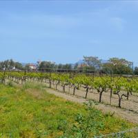 Земельный участок в Греции