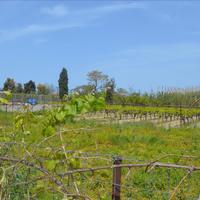 Земельный участок в Греции