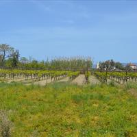 Земельный участок в Греции