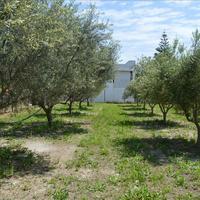 Земельный участок в Греции