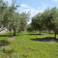 Земельный участок в Греции