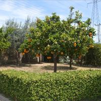 Townhouse in Greece, 144 sq.m.