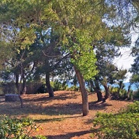 Другое в Греции, 220 кв.м.