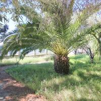 Другое в Греции, 145 кв.м.