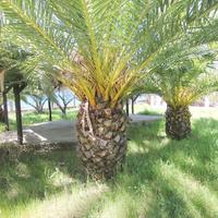 Другое в Греции, 145 кв.м.