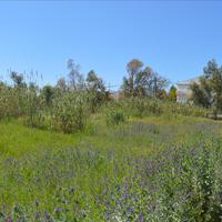 Land plot in Greece