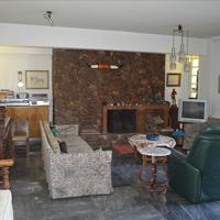 Other in Greece, 510 sq.m.