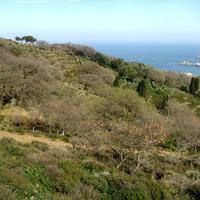 Земельный участок в Греции