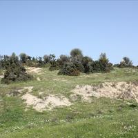 Земельный участок в Греции