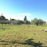 Land plot in Greece
