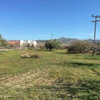 Land plot in Greece