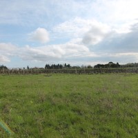 Земельный участок в Греции, 5000 кв.м.