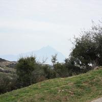 Land plot in Greece, 500 sq.m.