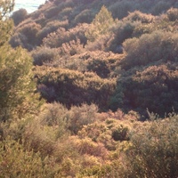 Земельный участок в Греции