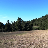 Земельный участок в Греции