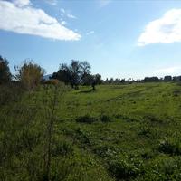 Land plot in Greece, 120000 sq.m.