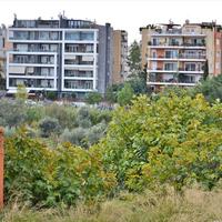 Земельный участок в Греции