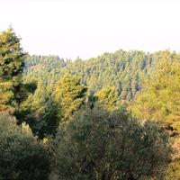 Townhouse in Greece, 100 sq.m.