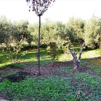 Другое в Греции, 190 кв.м.