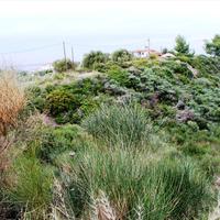 Земельный участок в Греции