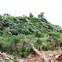 Земельный участок в Греции