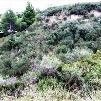 Земельный участок в Греции