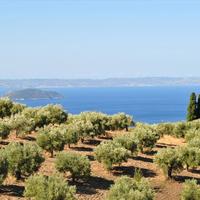 Другое в Греции, 140 кв.м.