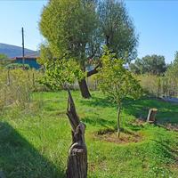 Другое в Греции, 85 кв.м.