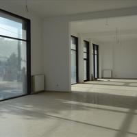 Business center in Greece, 800 sq.m.