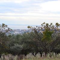 Land plot in Greece