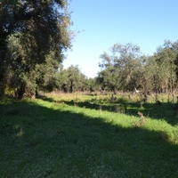 Земельный участок в Греции