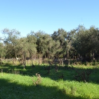 Земельный участок в Греции