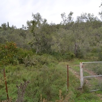 Land plot in Greece