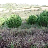 Villa in Greece, 406 sq.m.