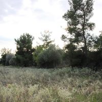 Земельный участок в Греции